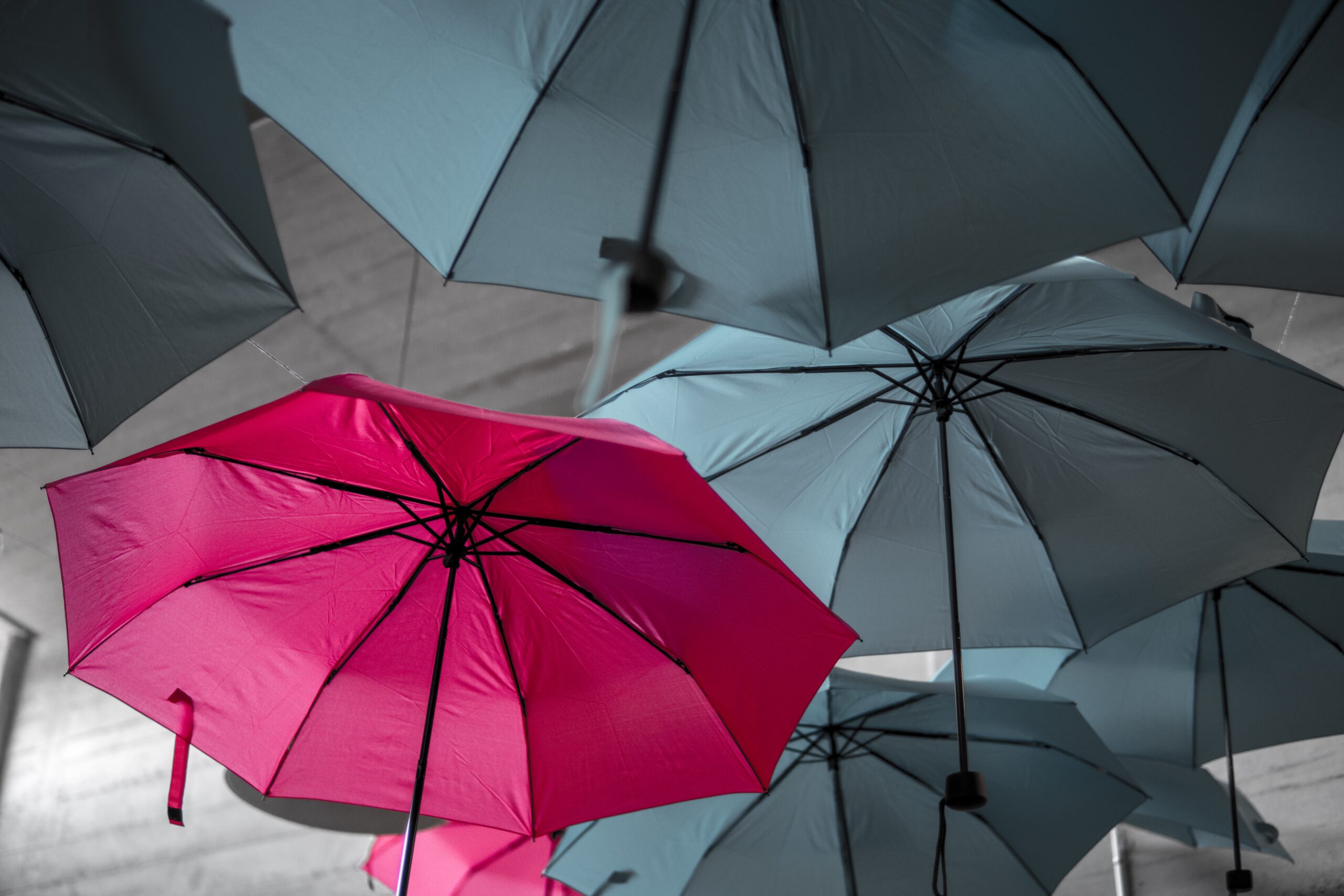 A view from underneath of floating grey umbrellas and one bright pink umbrella