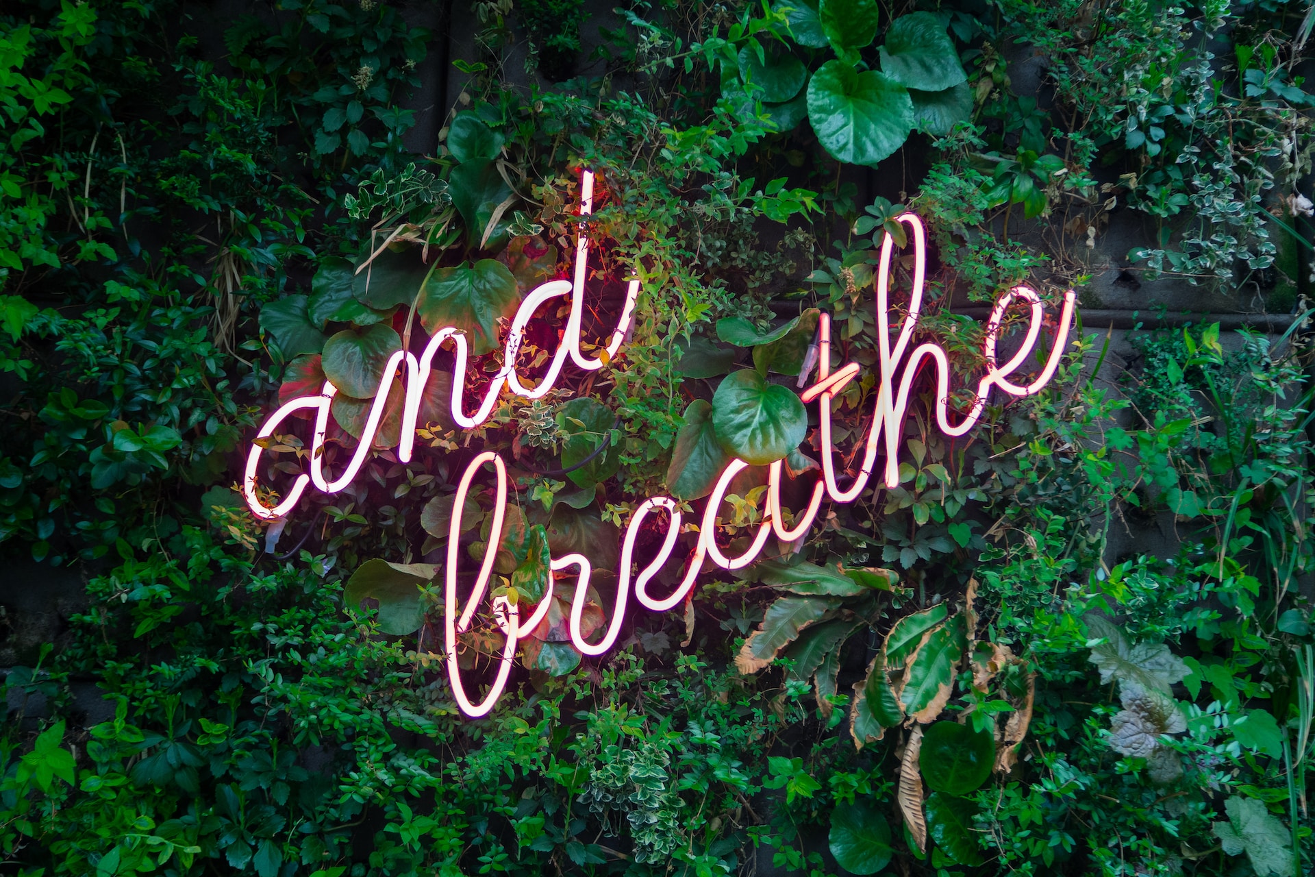 Neon pink letters in two diagonal rows spelling the words 'and breathe' against a background of foliage