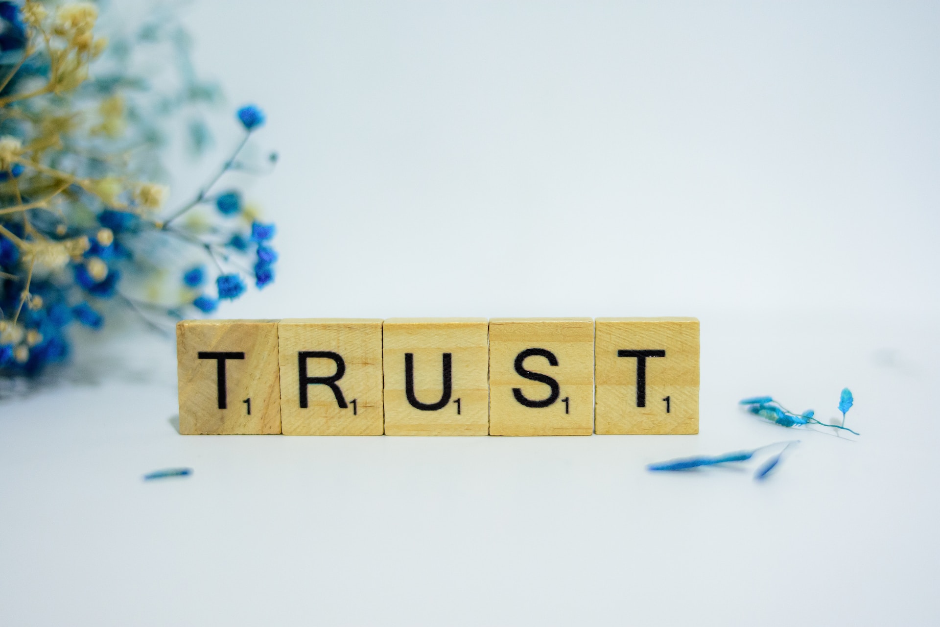Wooden Scrabble tiles spelling the word 'TRUST' on a white surface with delicate blue flowers set behind them to the left.