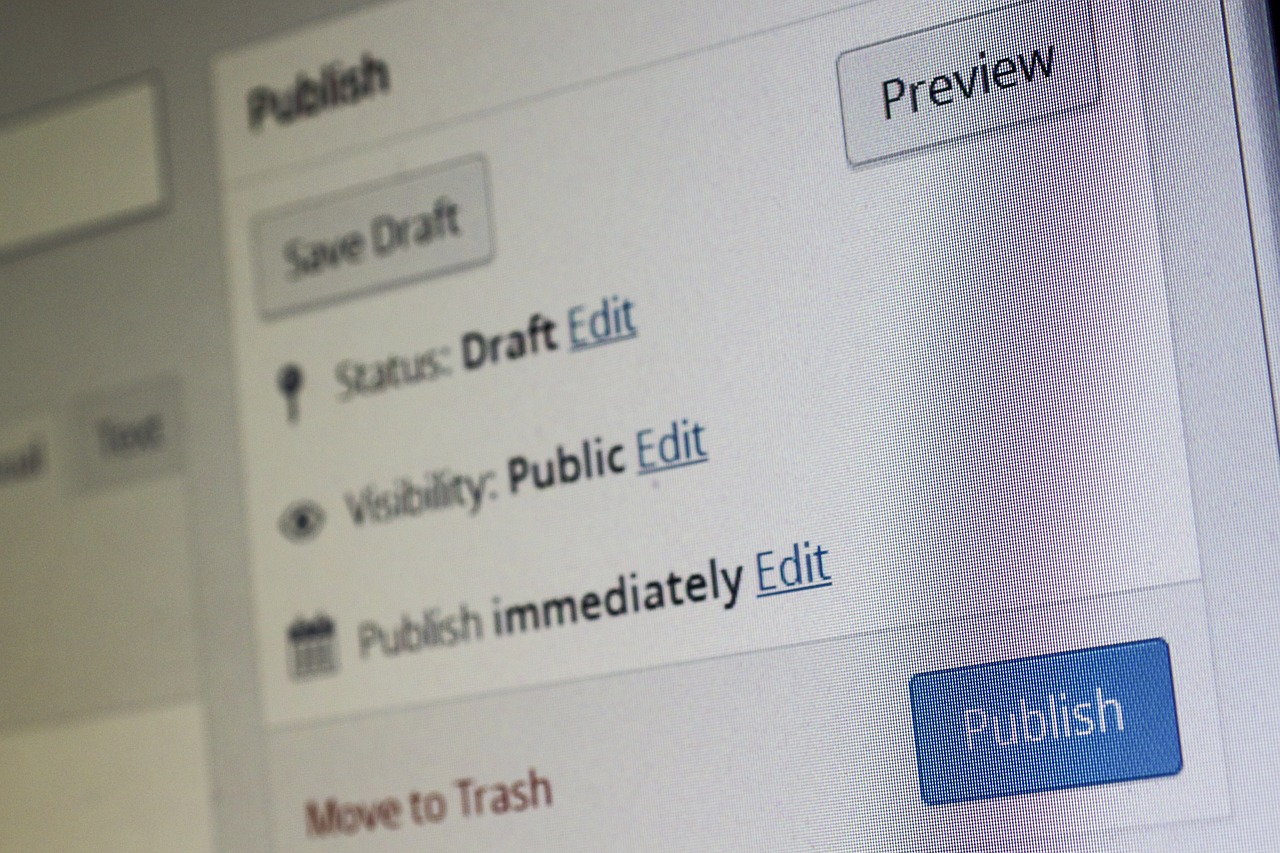 A snapshot of a WordPress screen for a blog post, focused on the 'Publish' section'.